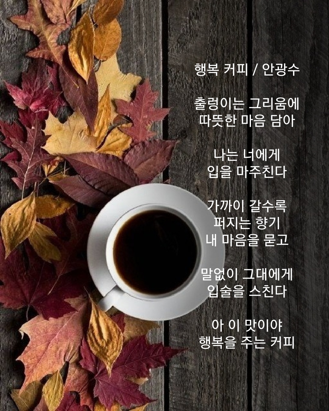 커피광수생각 이미지