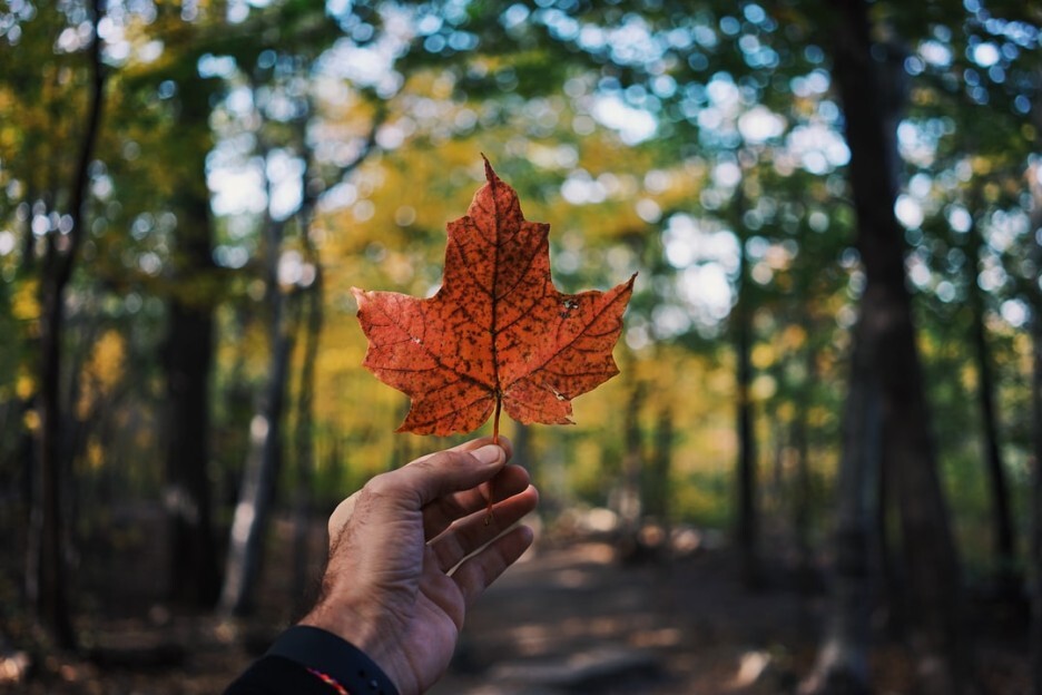 © i_am_g, 출처 Unsplash