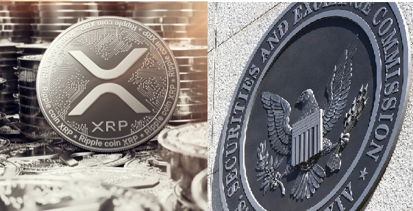 리플 vs SEC 항소