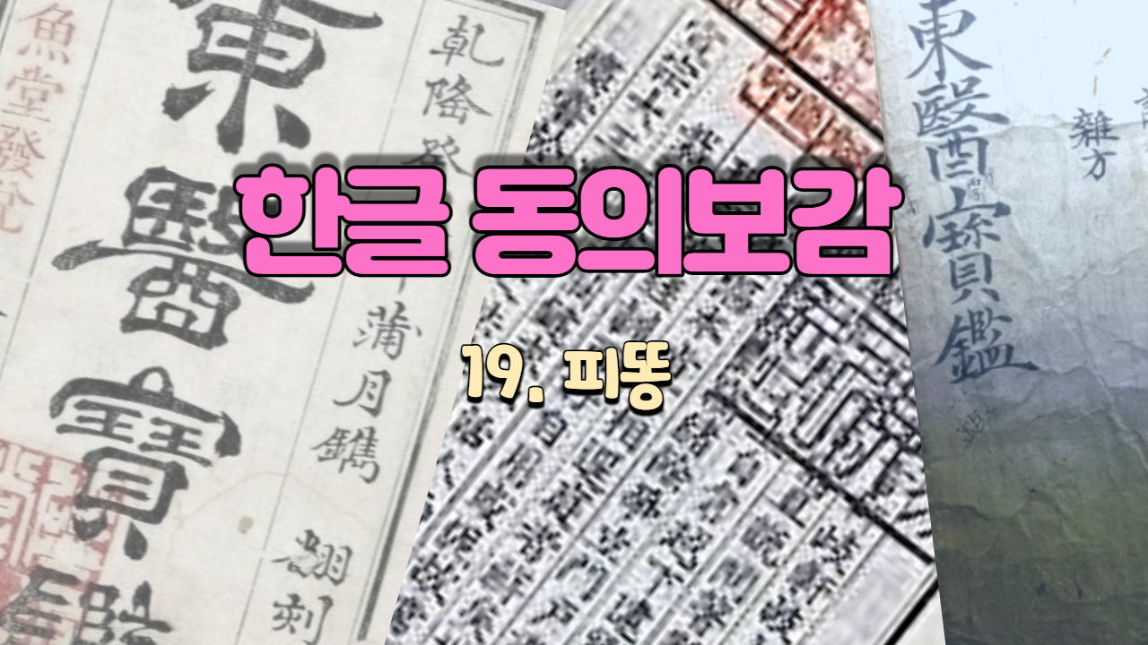  19. 피똥[便血] ( 내경편 혈 )