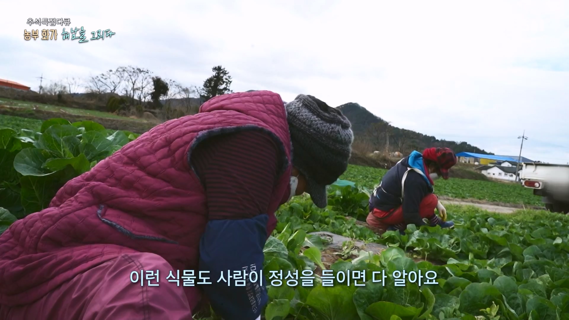 추석 특집 다큐 2부 - 농부화가 해남을 그리다.E02.230929p-NEXT.mp4_20231002_172247.755.jpg