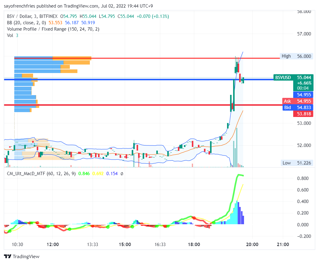  #6 모의 암호화폐 투자 기록: BSV(성공)