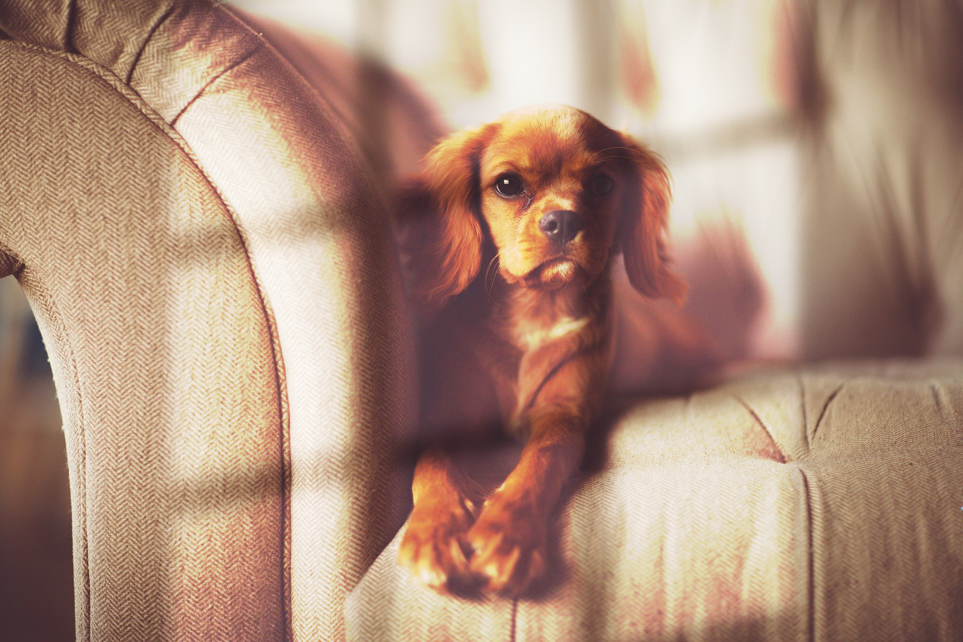 포토샵으로 인공 빛 합성 완료한 사진