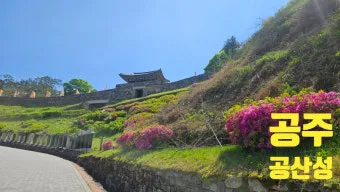 공주 공산성은 백제시대 475년부터 538년에 수도 방어와 왕궁 기능을 수행하던 산성입니다 금강을 끼고 해발 110m 능선에 축조된 포곡형_20