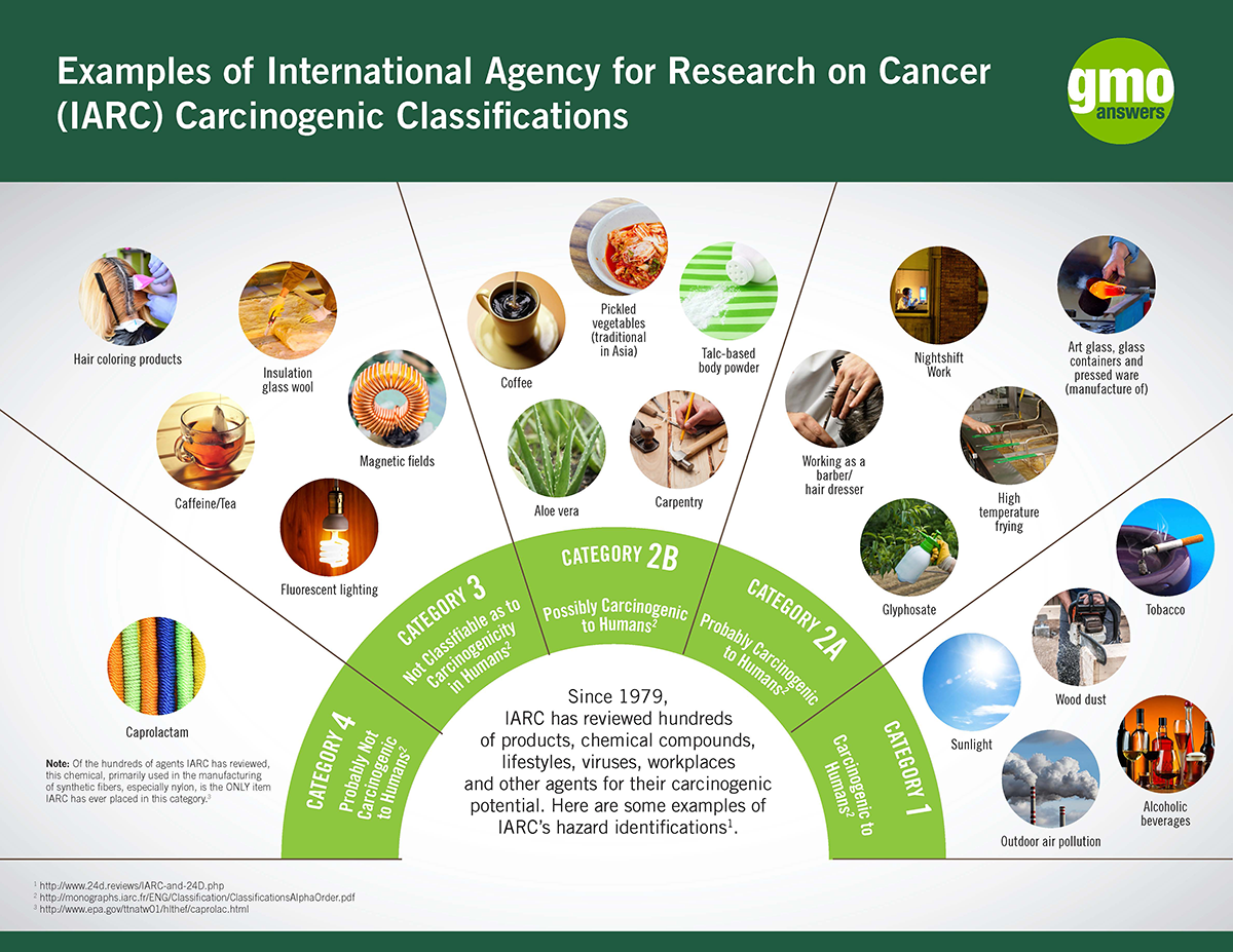 WHO IARC 발암물질 분류