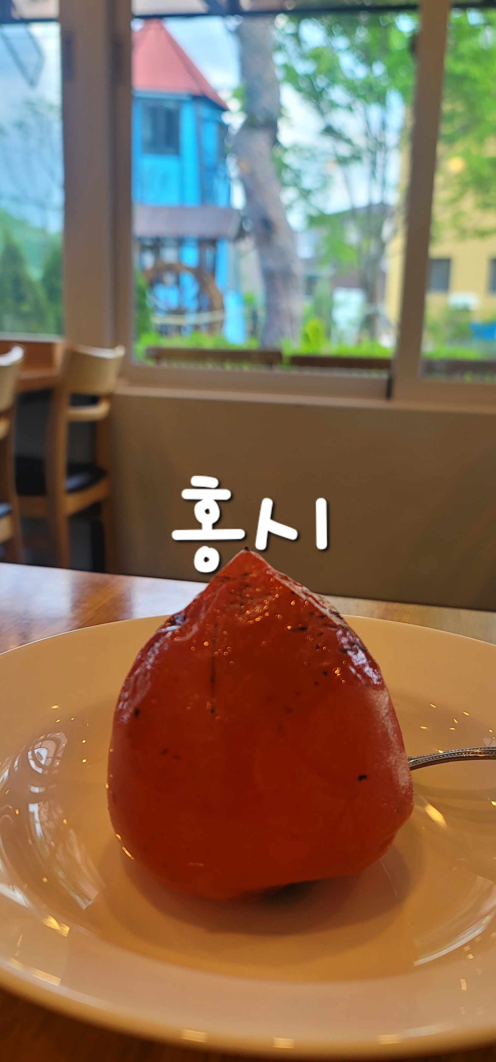 홍시 이미지