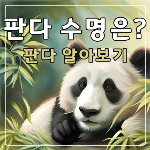 대나무와-판다