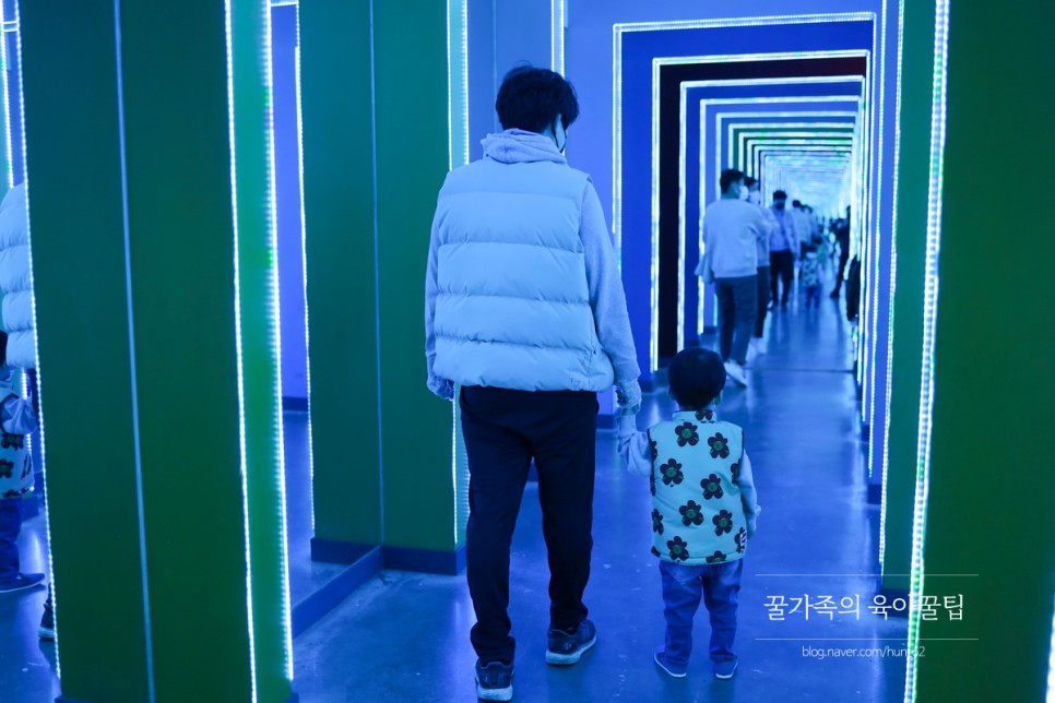 경북 축제 경북 아이와가볼만한곳 청도 22