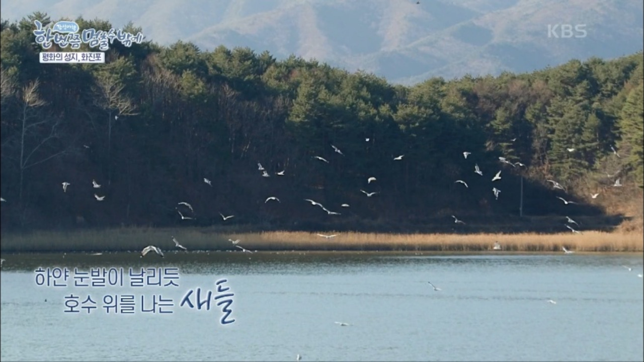 한번쯤멈출수밖에 고성 촬영지 화진포 해수욕장 03