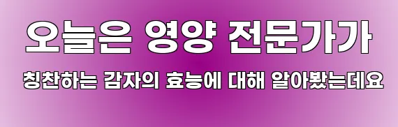  오늘은 영양 전문가가 칭찬하는 감자의 효능에 대해 알아봤는데요