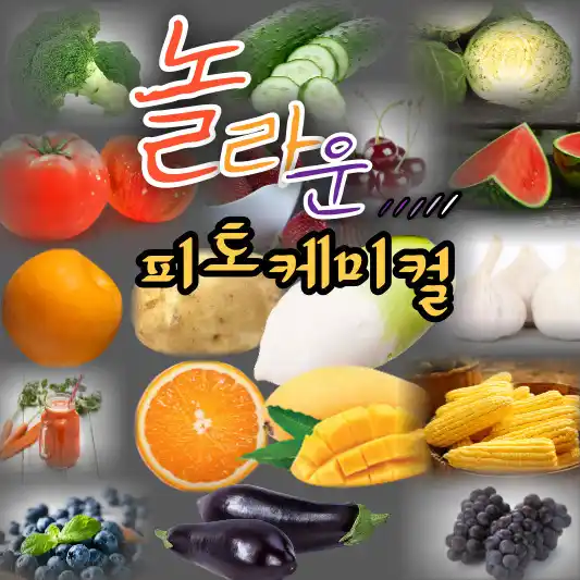  피토케미컬은 색깔마다 다른 효능