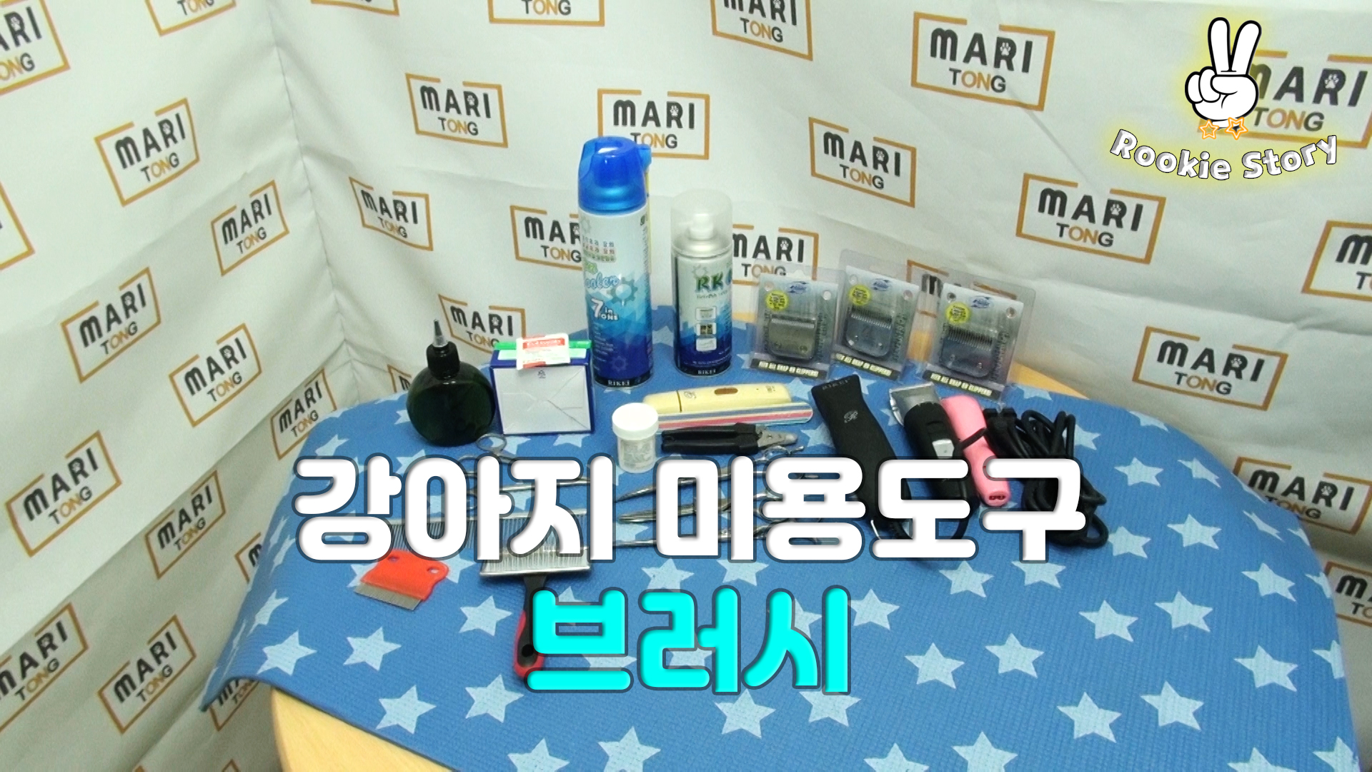  애견 셀프 미용 도구 브러시 종류 소개