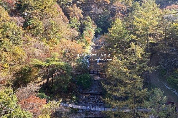 증평 가볼만한곳 베스트10 모음