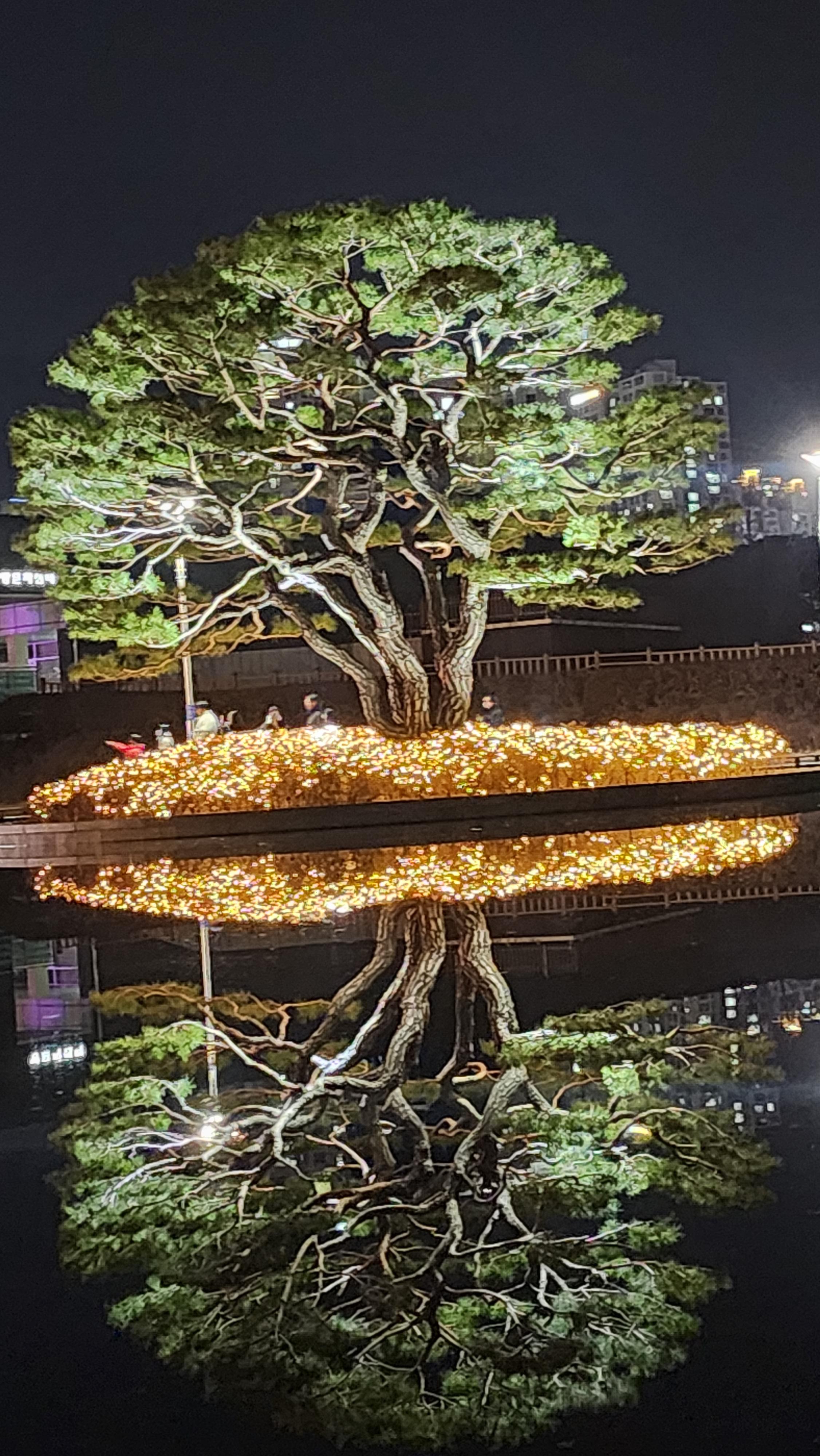 부산시민공원빛축제