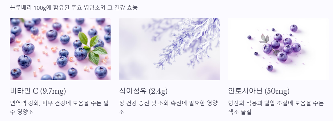 블루베리 영양소 분석