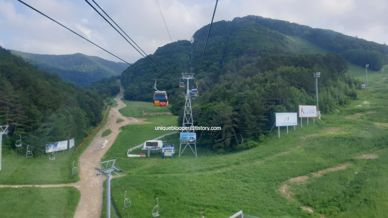  발왕산 케이블카, 평창여행, 용평리조트 다녀왔어요~