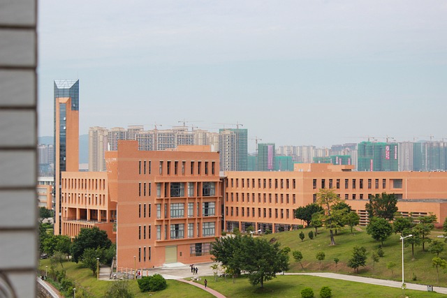 미국 대학교 사진