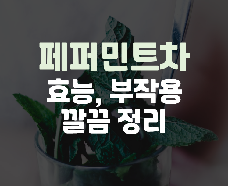  페퍼민트차 효능, 부작용 깔끔 정리