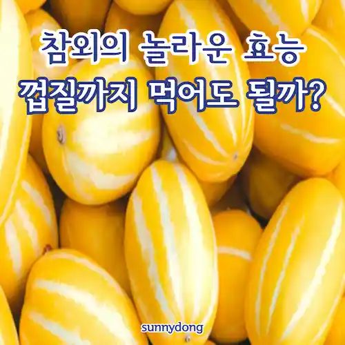 참외의 놀라운 효능, 껍질까지 먹어도 될까