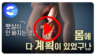 다이어트는 왜 늘 실패할까?