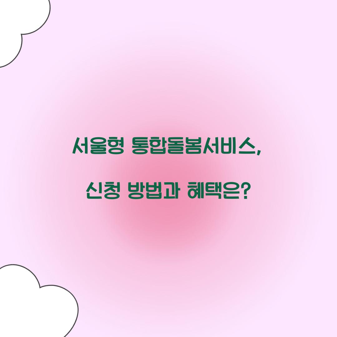 서울형 통합돌봄서비스