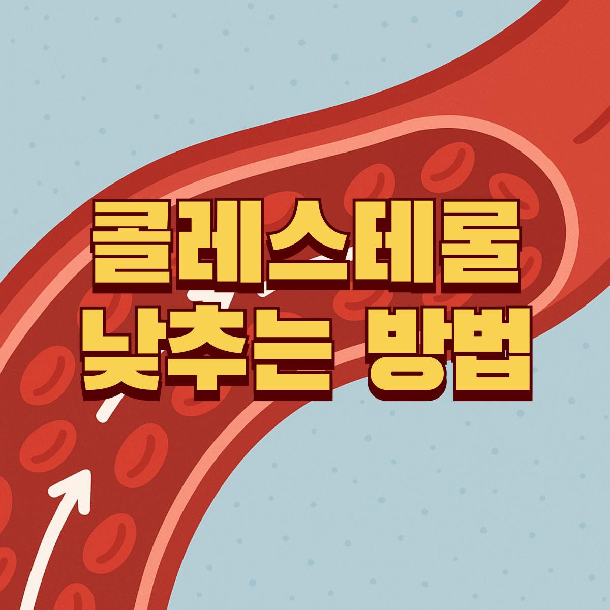 콜레스테롤 낮추는 방법 대표 이미지