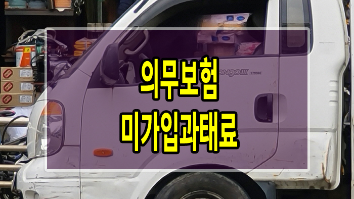  의무보험 미가입과태료