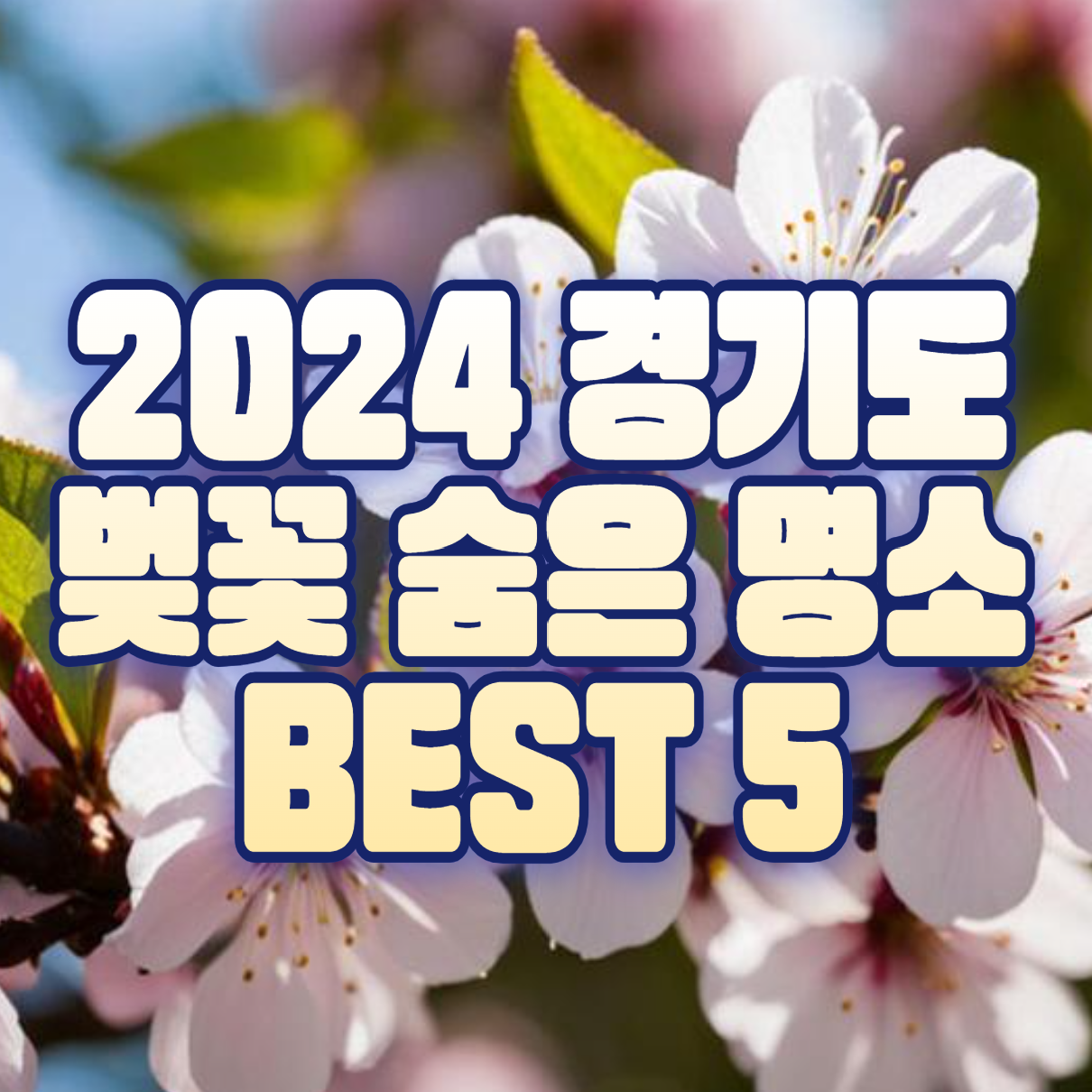 2024 경기도 벚꽃 숨은 명소 BEST 5