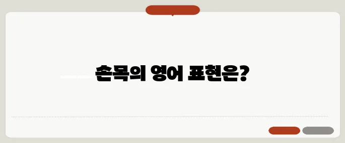 wrist 뜻과 신체 부위 영어 표현