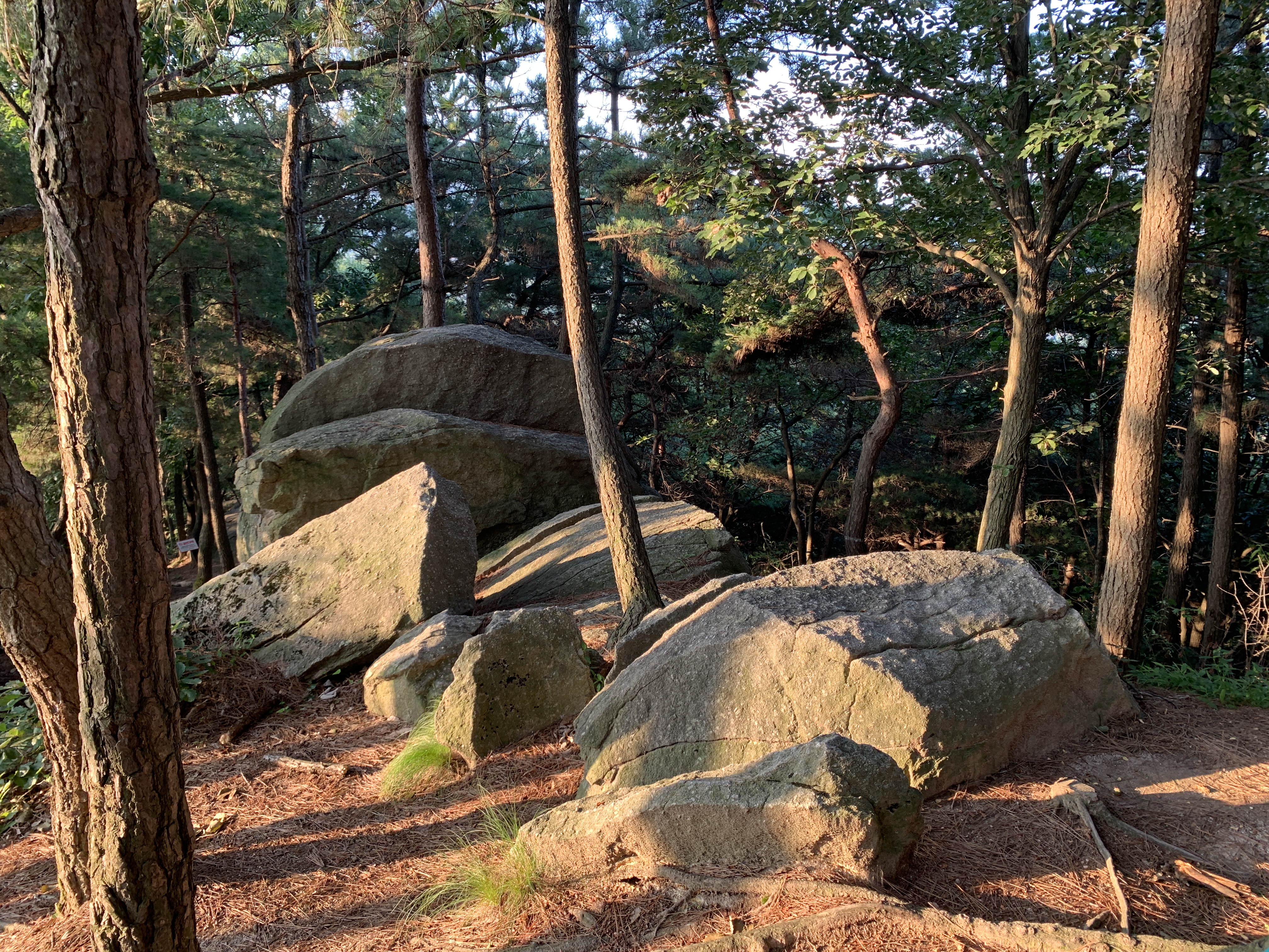 남산_천년바위