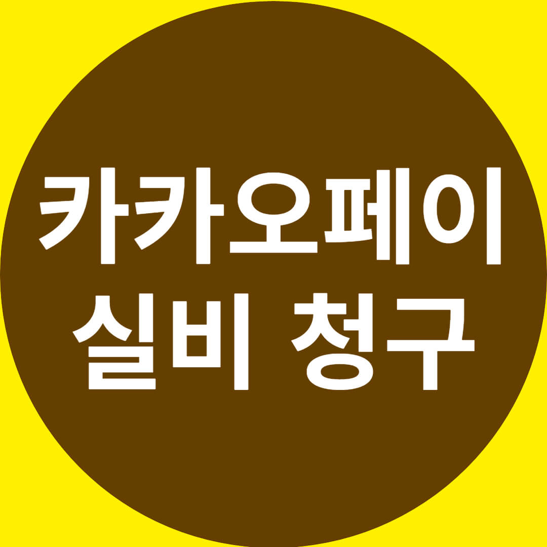 카카오페이 실제 수수료 청구
