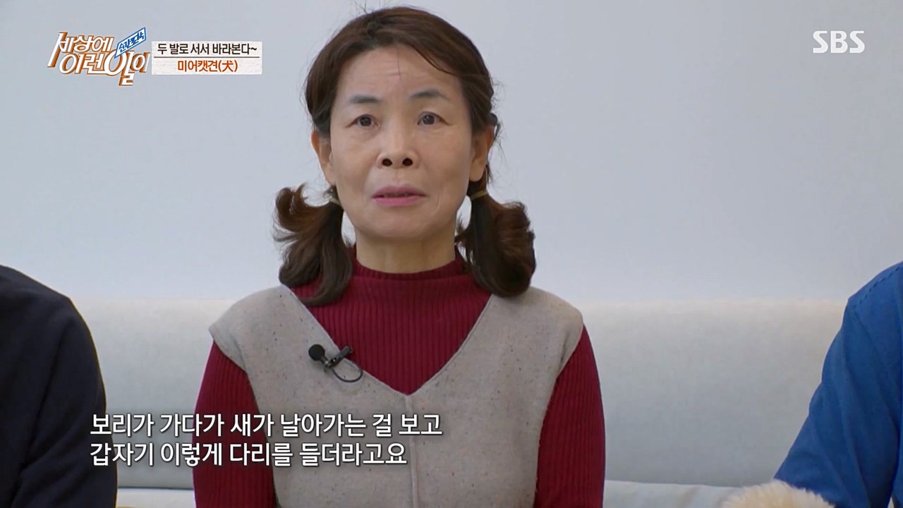 순간포착 세상에 이런일이.E1216.230208p-NEXT.mp4_20230208_194155.695.jpg