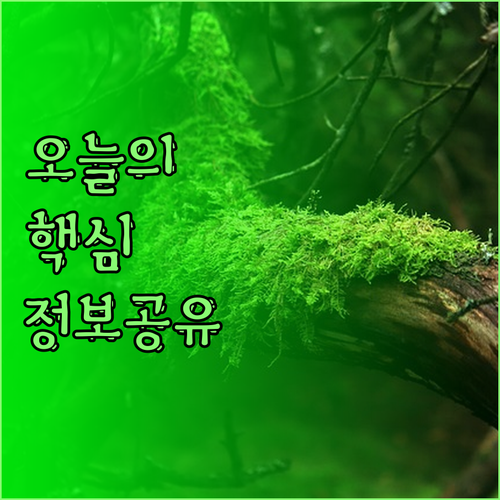 에제이자 공항 근처 숙소, 어떤 선택