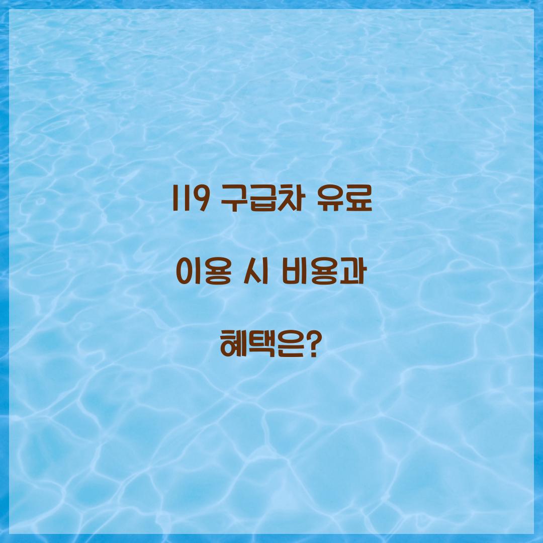 119 구급차 유료