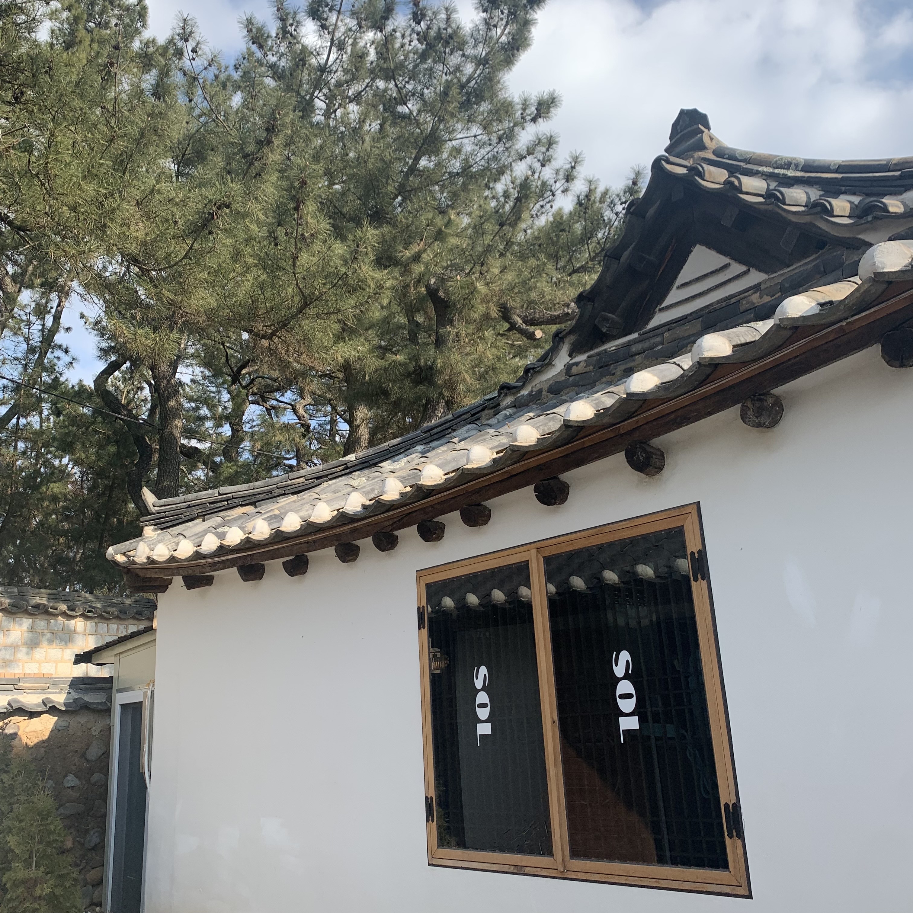 솔(sol) 이미지