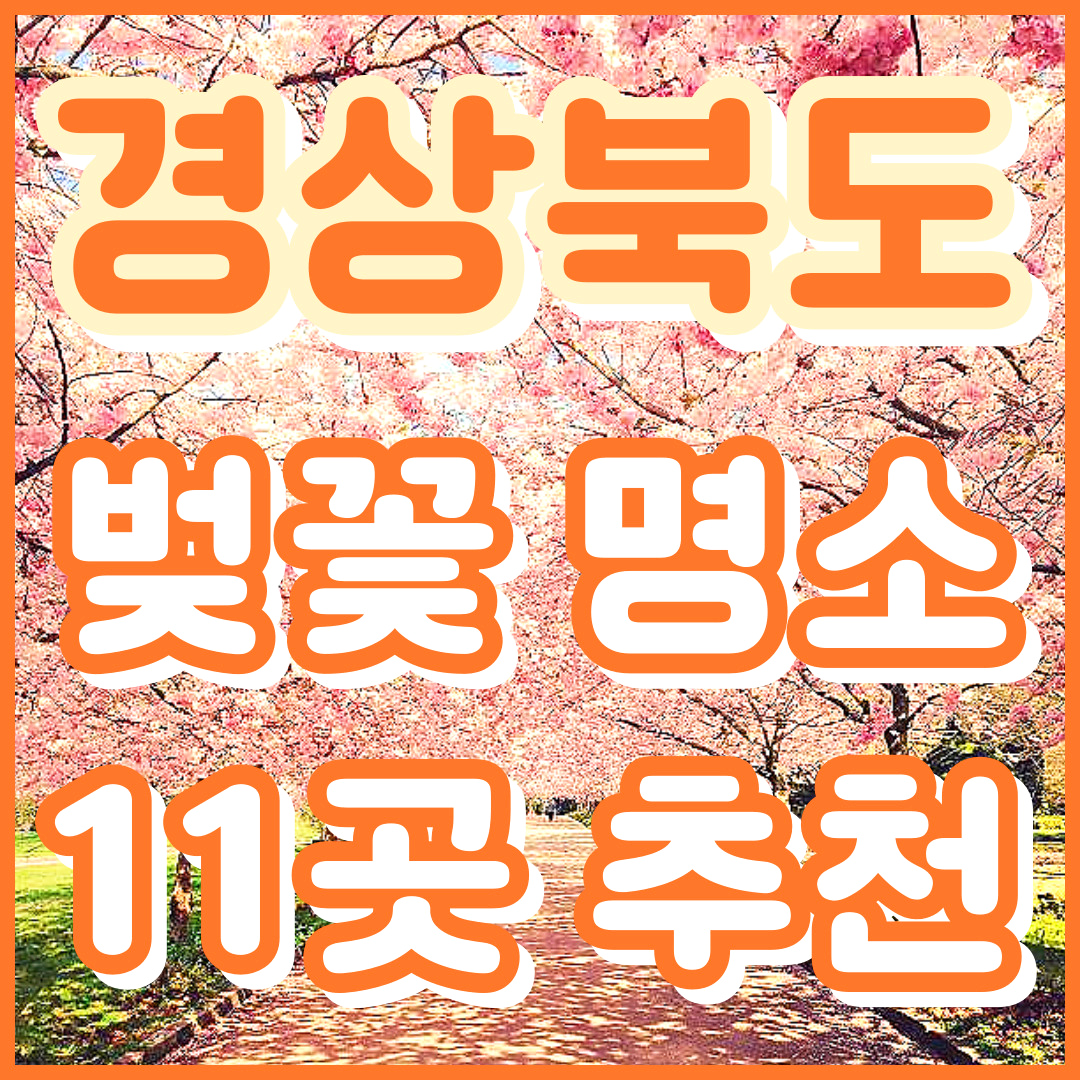경상북도 벚꽃 명소