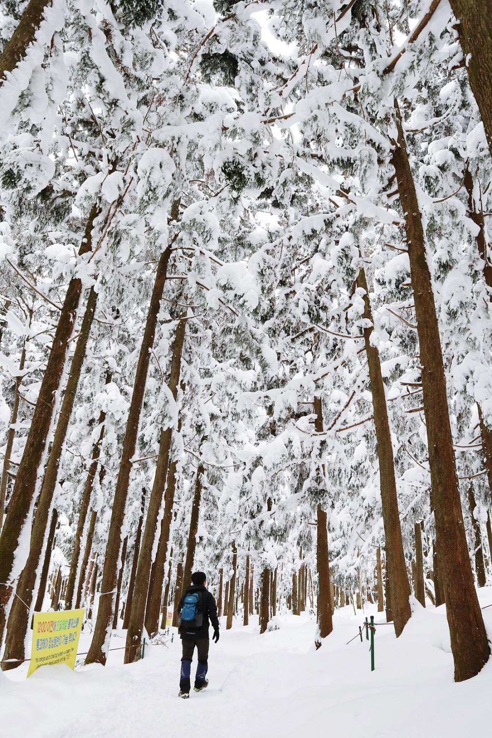 눈쌓인 겨울산 이미지 63