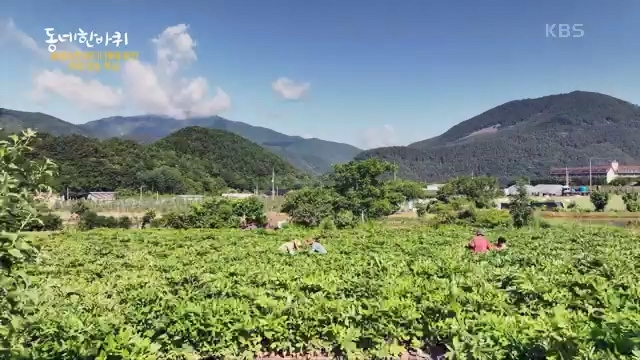 [227회] 동네 한 바퀴 - KBS.ts_20230802_212335.952.jpg