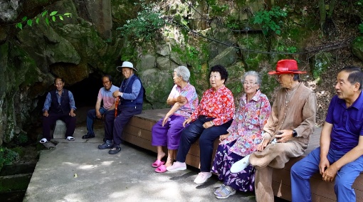 송화약된장 이미지