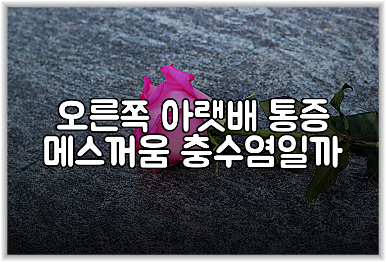 오른쪽 아랫배 통증 메스꺼움 충수염일까