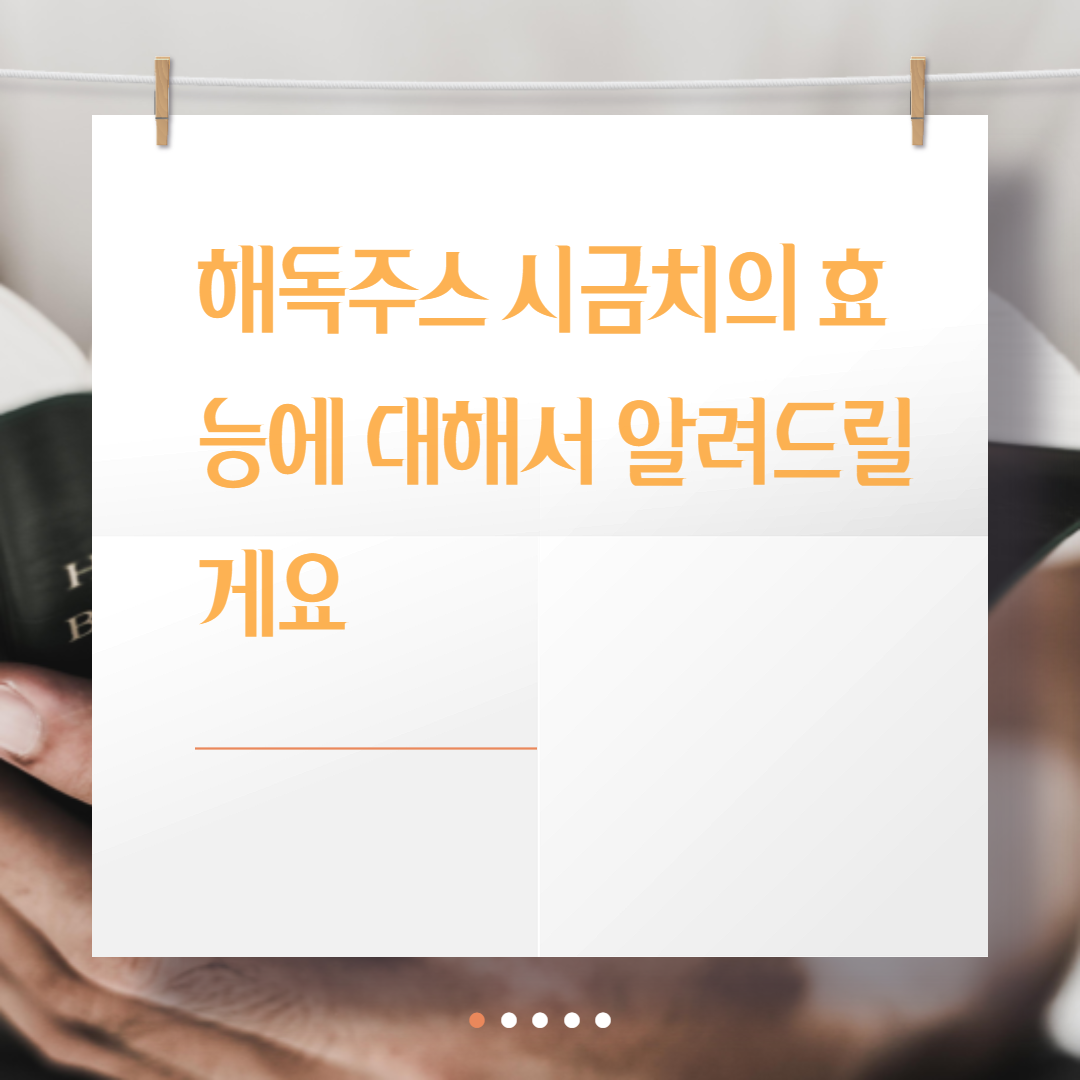  해독주스 시금치 효능