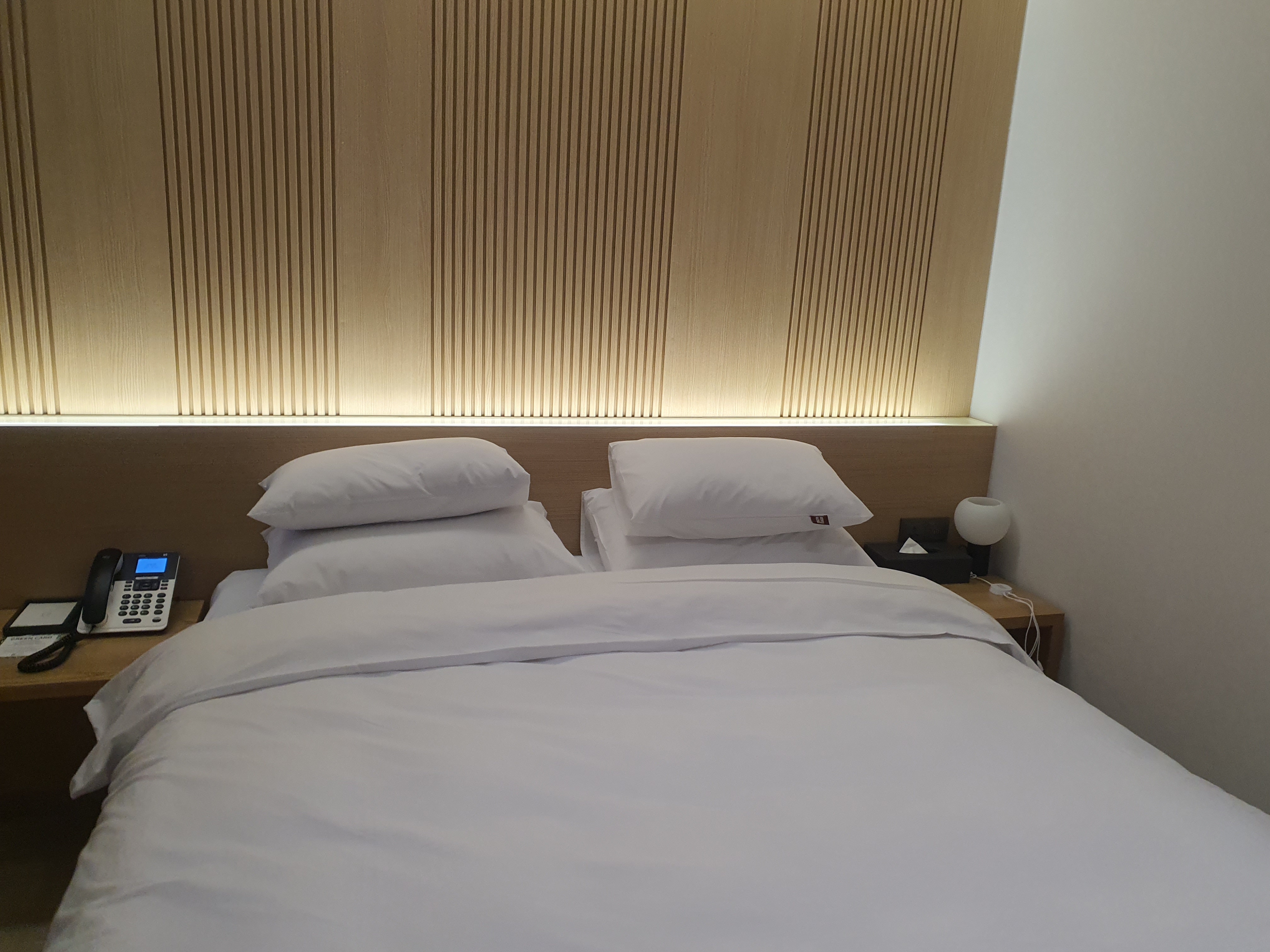 세종 라고바움호텔 서비스 주차 객실 정보 세종 호수공원 뷰 후기