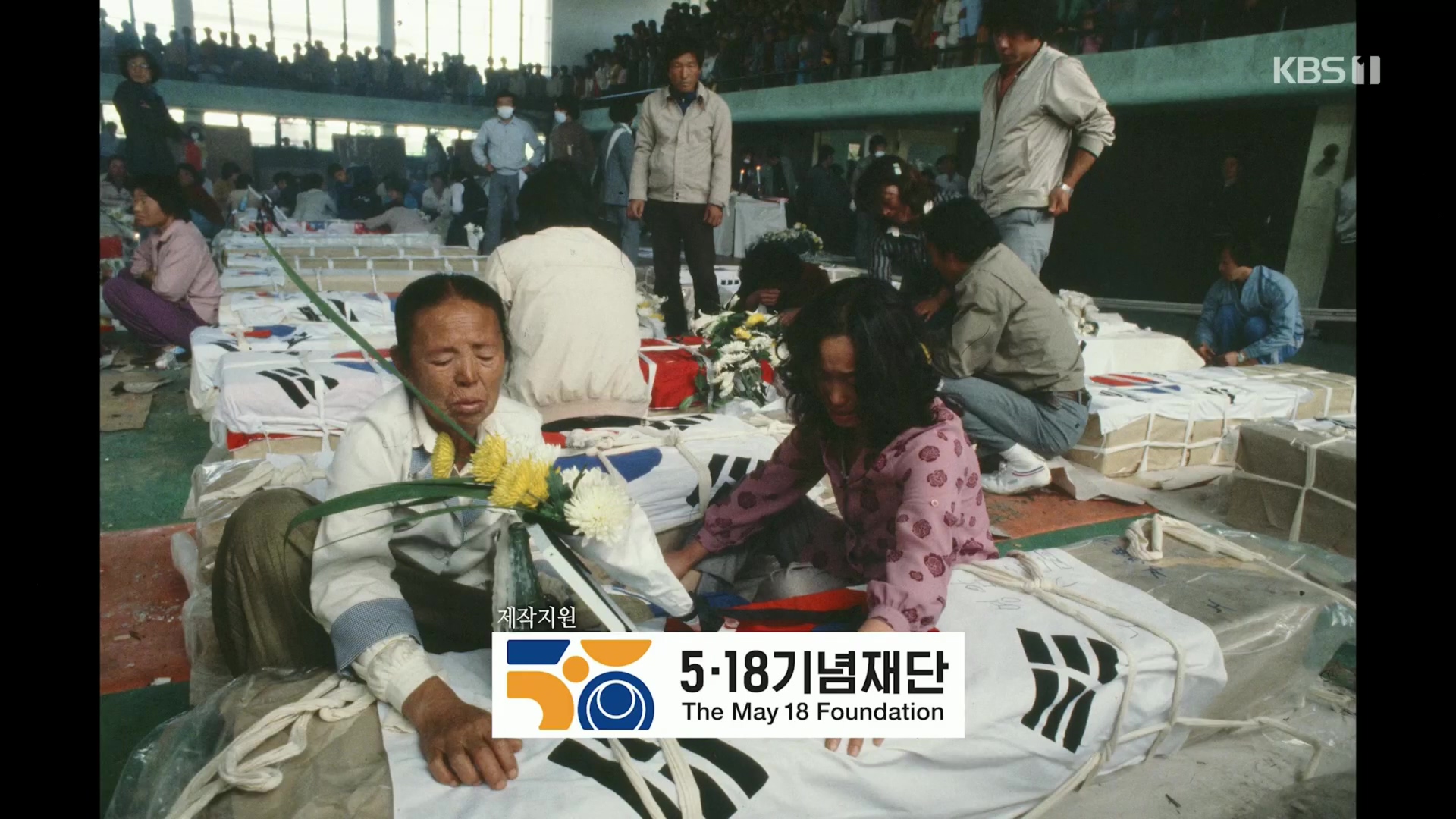 다큐 인사이트.E151.230518p.H264-F1RST.mp4_20230522_201124.182.jpg
