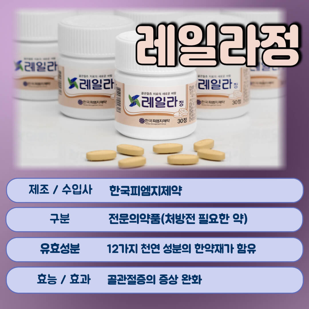 레일라정이란