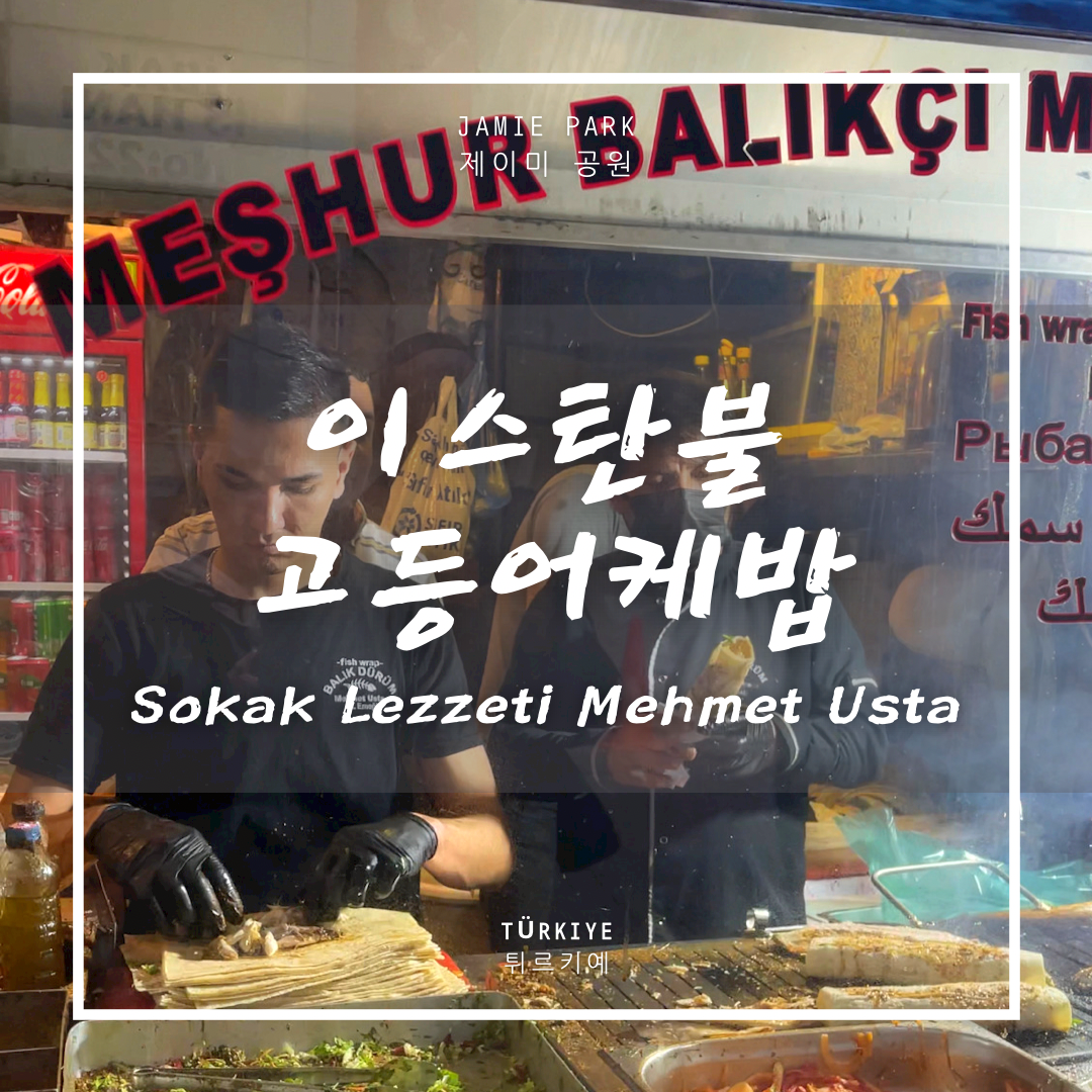  이스탄불 고등어케밥, 한번 먹어보려다 1시간 반 줄 설 줄이야 Istanbul Fish Wrap | Sokak Lezzeti Tarihi Balık Dürümcü Mehmet Usta