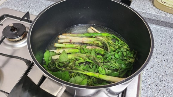 - 오가피 삼겹살말이 봄 야채 오가피 요리 3