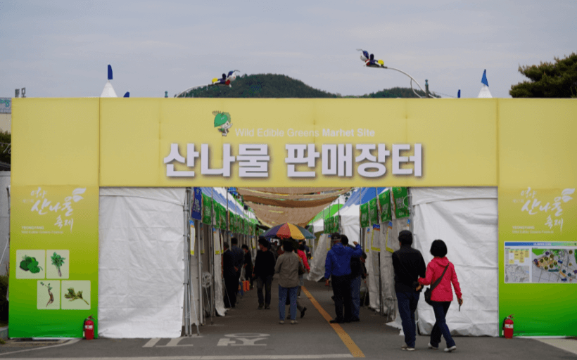 영양 산나물축제날짜 가수 주차 2024