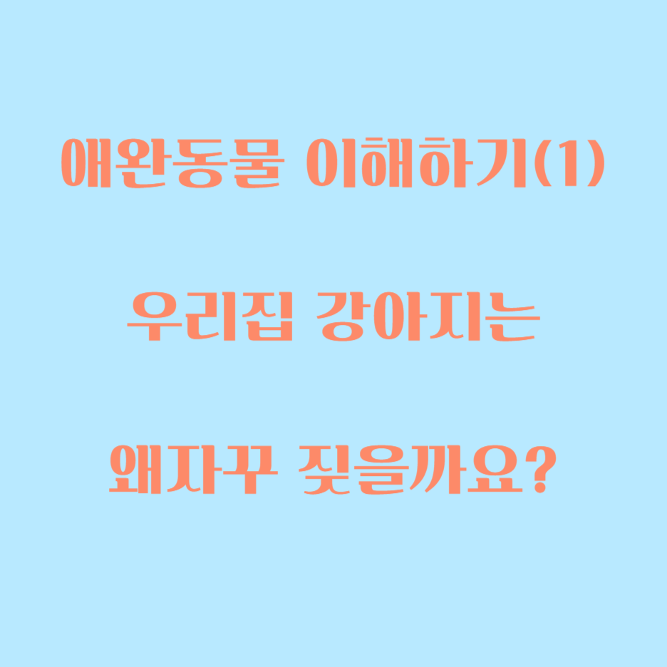  우리집 강아지 왜이럴까요? 강아지를 이해하는 방법과 중요성