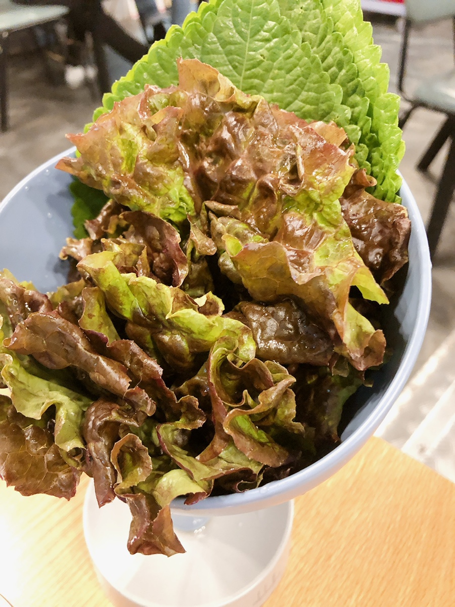 속초 소고기 맛집 속초고기집 추천 소고기 맛집 3