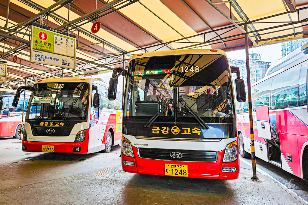 서울에서 속초행 시외버스 금강고속